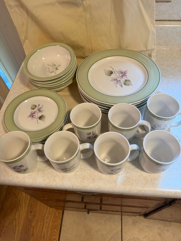 Vintage Thomson Pottery Dinnerware Set - image 1 of 7