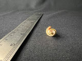 Gold-tone shell pendants and pearl-accent leaf brooch - thumbnail 5 of 9