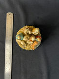 Clay Nativity Scene Figurine Set and Nativity Music Box - thumbnail 10 of 14