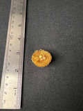 Gold-tone shell-themed jewelry assortment - thumbnail 1 of 14