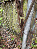 Antique Farming Equipment and Tools - thumbnail 7 of 9