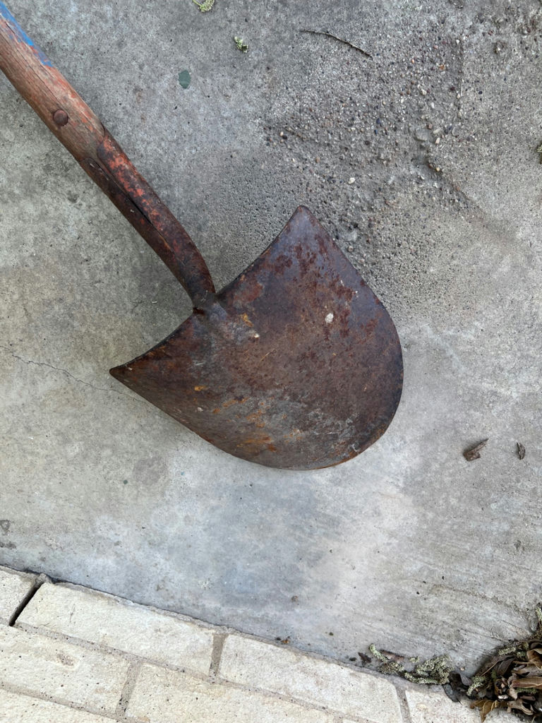 Antique shovels and pitch forks - image 5 of 22