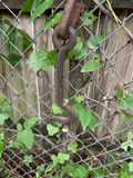 Antique hooks, bar, and chain hardware - thumbnail 5 of 7