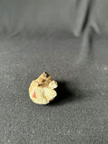 Koala Figurines Collection - thumbnail 5 of 17