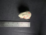 Assorted Easter Bunny Figurines and Ornaments - thumbnail 6 of 37