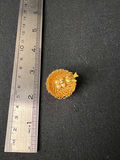 Gold-tone shell-themed jewelry assortment - thumbnail 3 of 14