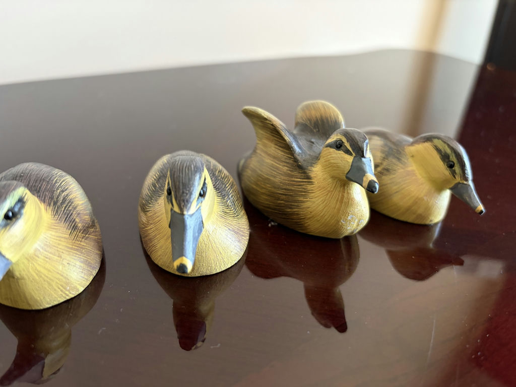 Loon & Duck Decoys - image 4 of 10