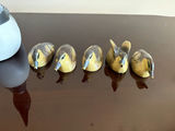 Loon & Duck Decoys - thumbnail 2 of 10