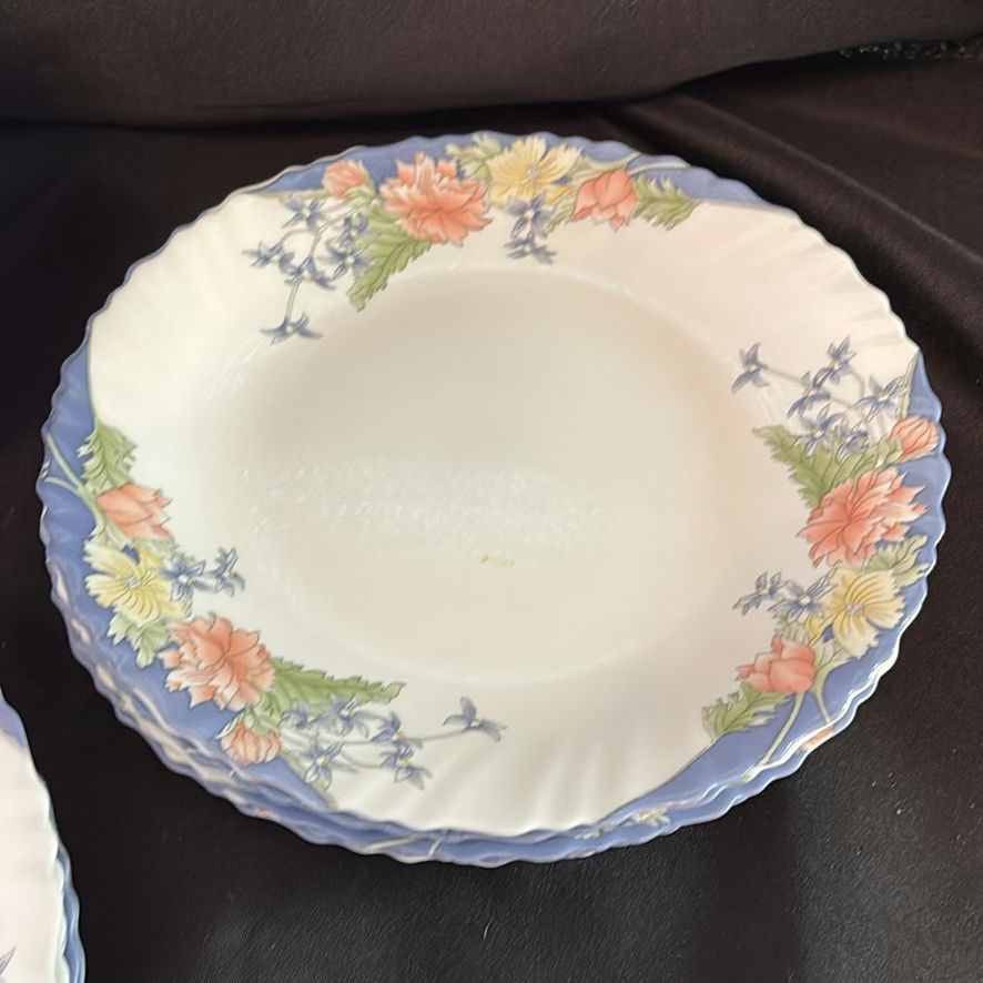 Vintage Arcopal "Florine" Plates - image 4 of 8