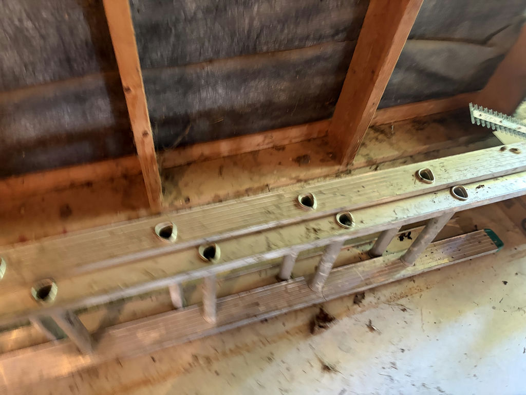 20’ Extension Ladder - image 5 of 6