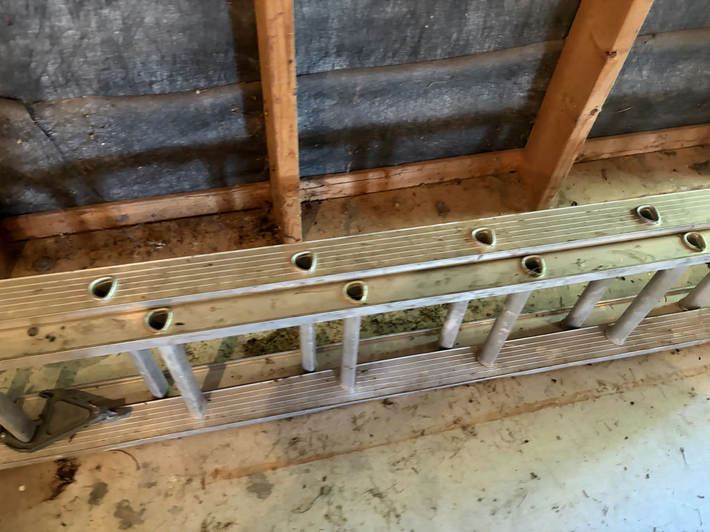 20’ Extension Ladder - image 4 of 6
