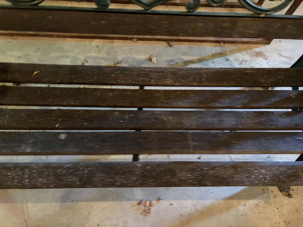 Cast Iron Benches - image 6 of 18