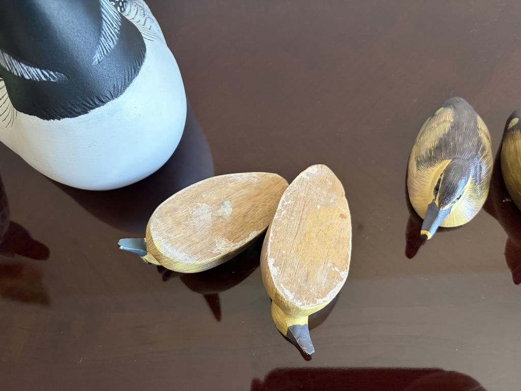 Loon & Duck Decoys - image 3 of 10