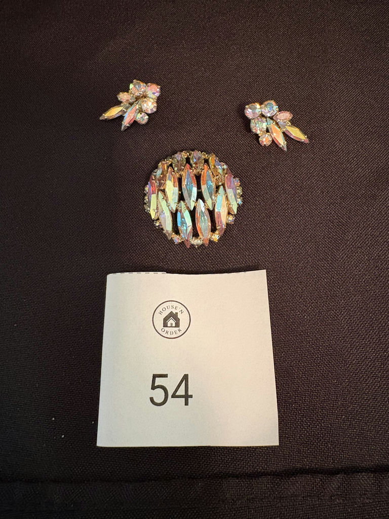 Sherman Brooch & Clip On Earrings - image 1 of 9