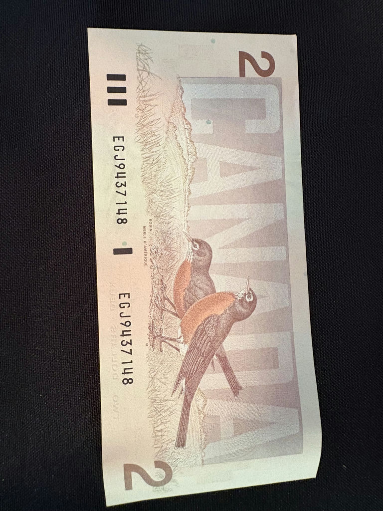 Collection Of Canadian Coins and Bank Notes - image 18 of 18