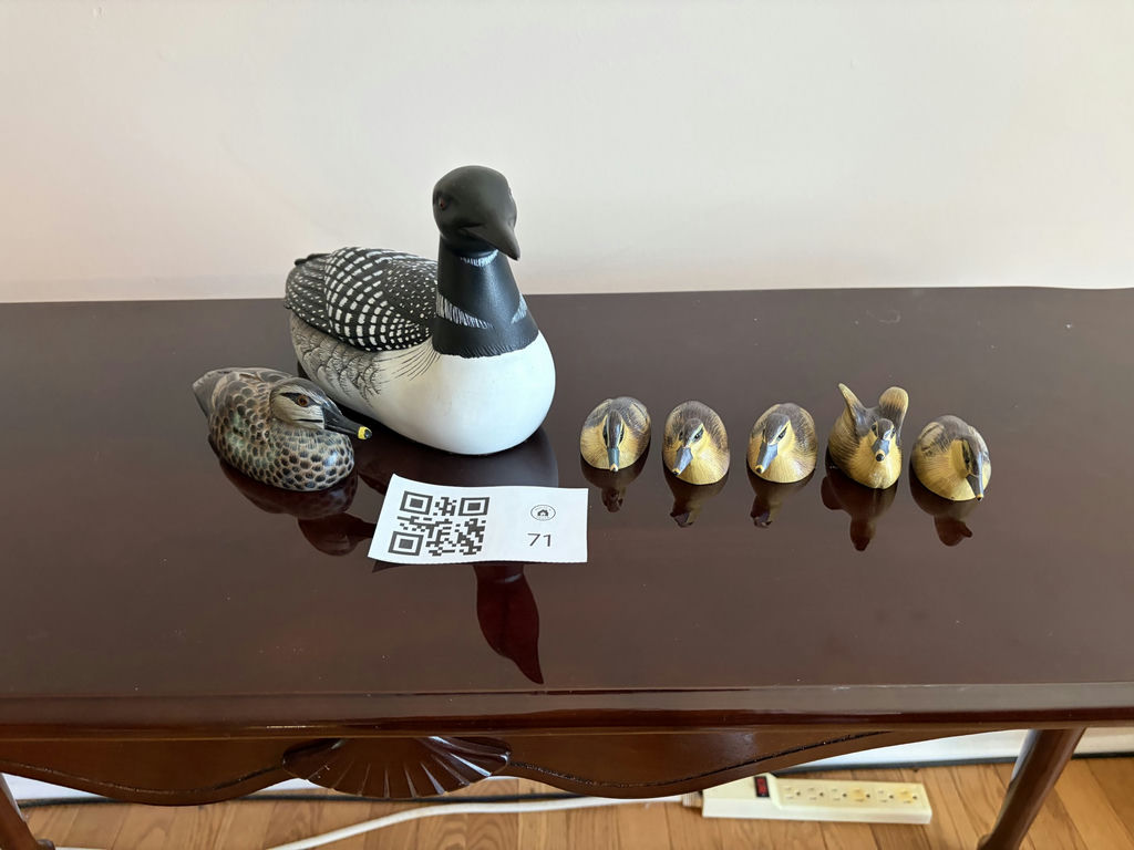 Loon & Duck Decoys - image 1 of 10