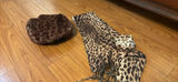 Leopard Print Scarf and Hat - thumbnail 1 of 4