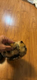 Two Faux Fur Neck Scarves - thumbnail 3 of 6