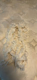 Two Scarves - thumbnail 2 of 3