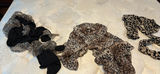 Collection of Patterned Scarves - thumbnail 1 of 4