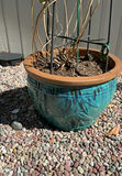 4 Large Turquoise Ceramic Pots, 3 With Live Plants - thumbnail 3 of 10
