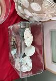 Shell Decor - thumbnail 3 of 8
