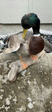Duck and Bird Wall Art Decor Set - thumbnail 7 of 7
