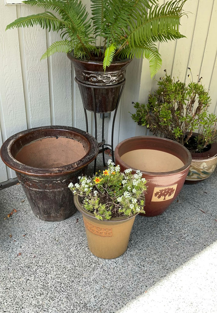 5 Large Ceramic Pots In Earth Tones, 3 With Live Plants