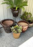 5 Large Ceramic Pots In Earth Tones, 3 With Live Plants - thumbnail 1 of 7