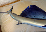 Marlin Trophy - thumbnail 4 of 6