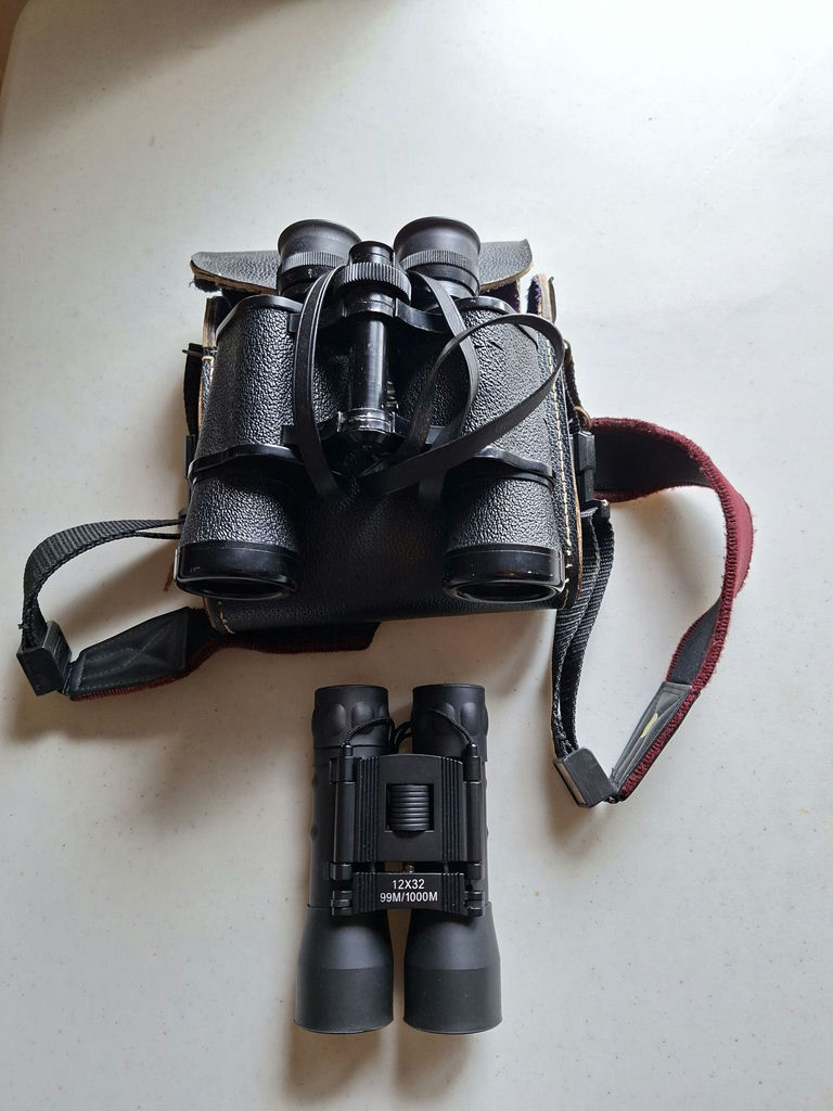 Tasco Binoculars with Carrying Case and Compact Binoculars - image 1 of 13