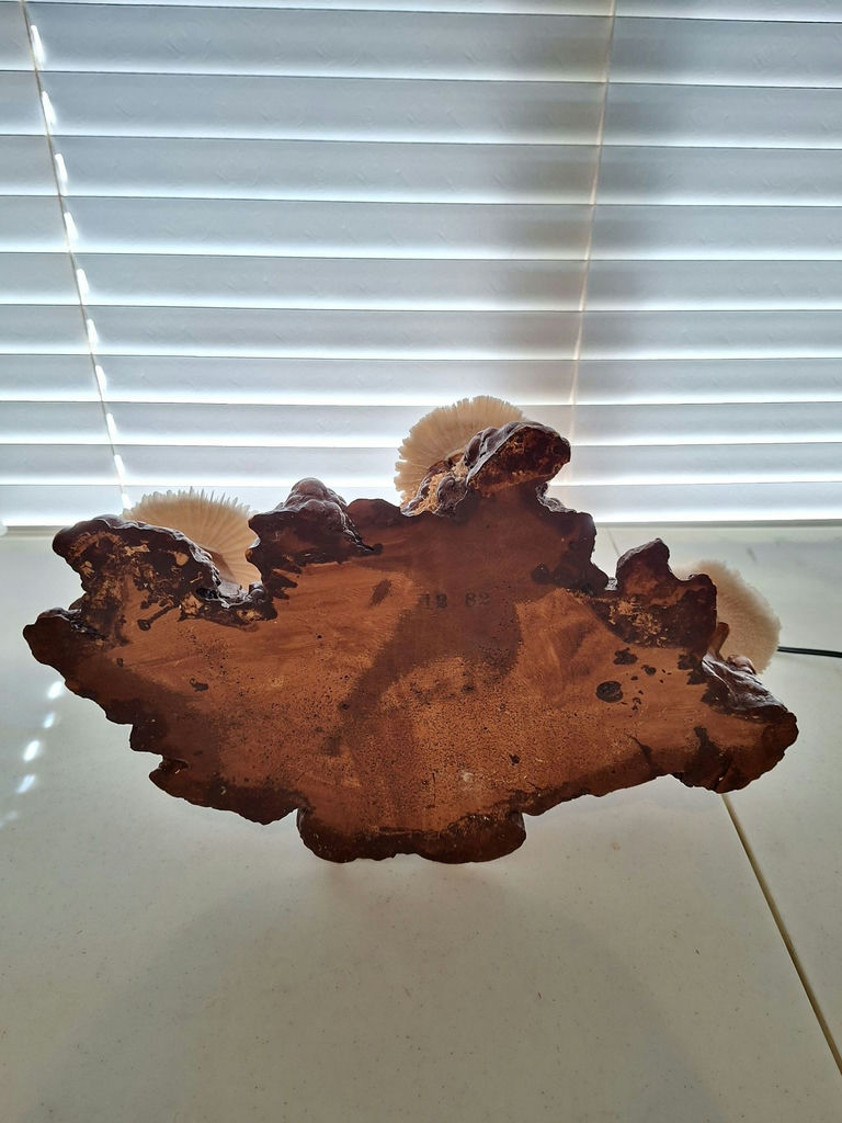 Vintage Unique Mushroom Table Lamp Decor - image 7 of 9