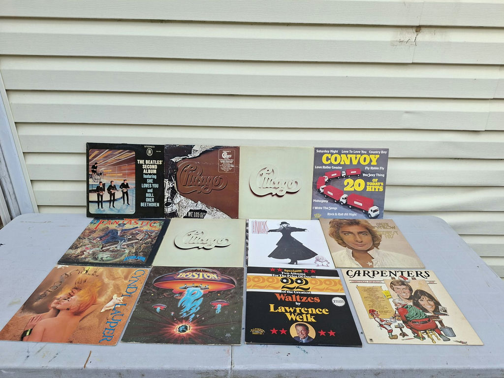 Collection of Assorted Vinyl Record Albums - image 1 of 4