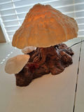 Vintage Unique Mushroom Table Lamp Decor - thumbnail 4 of 9