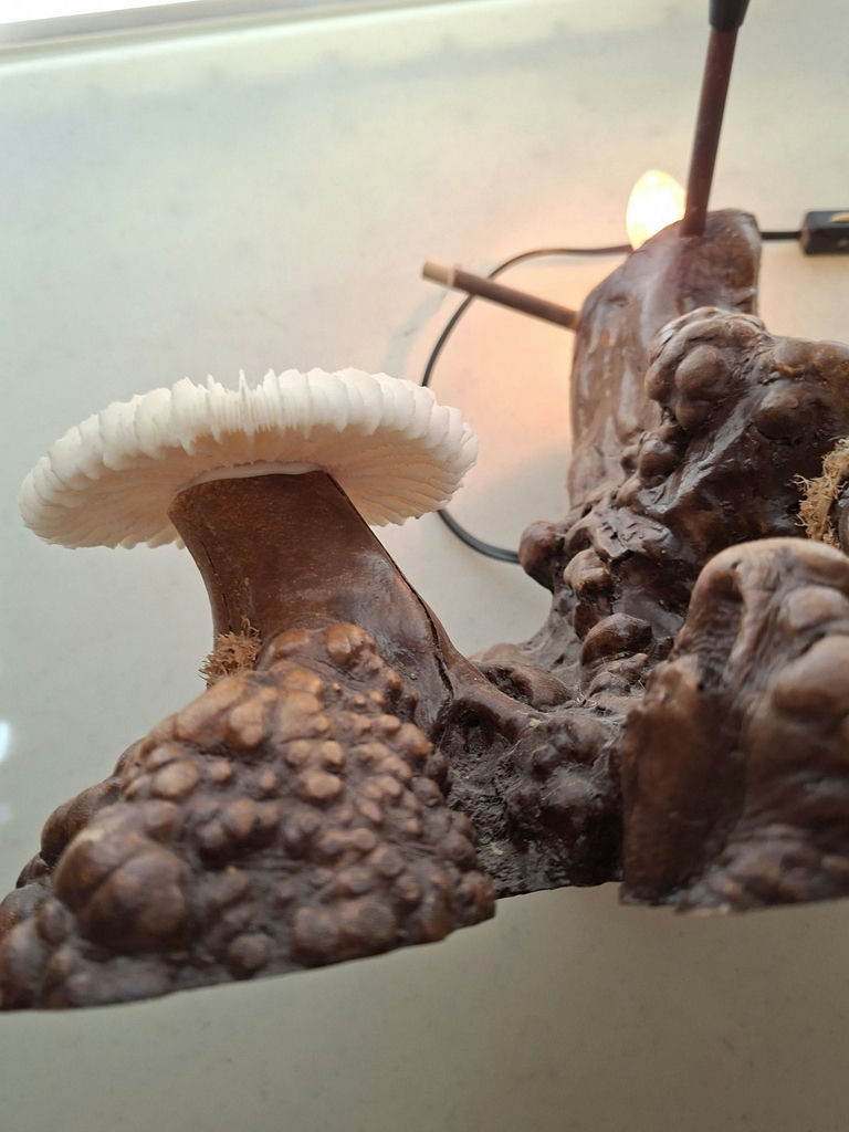 Vintage Unique Mushroom Table Lamp Decor - image 9 of 9