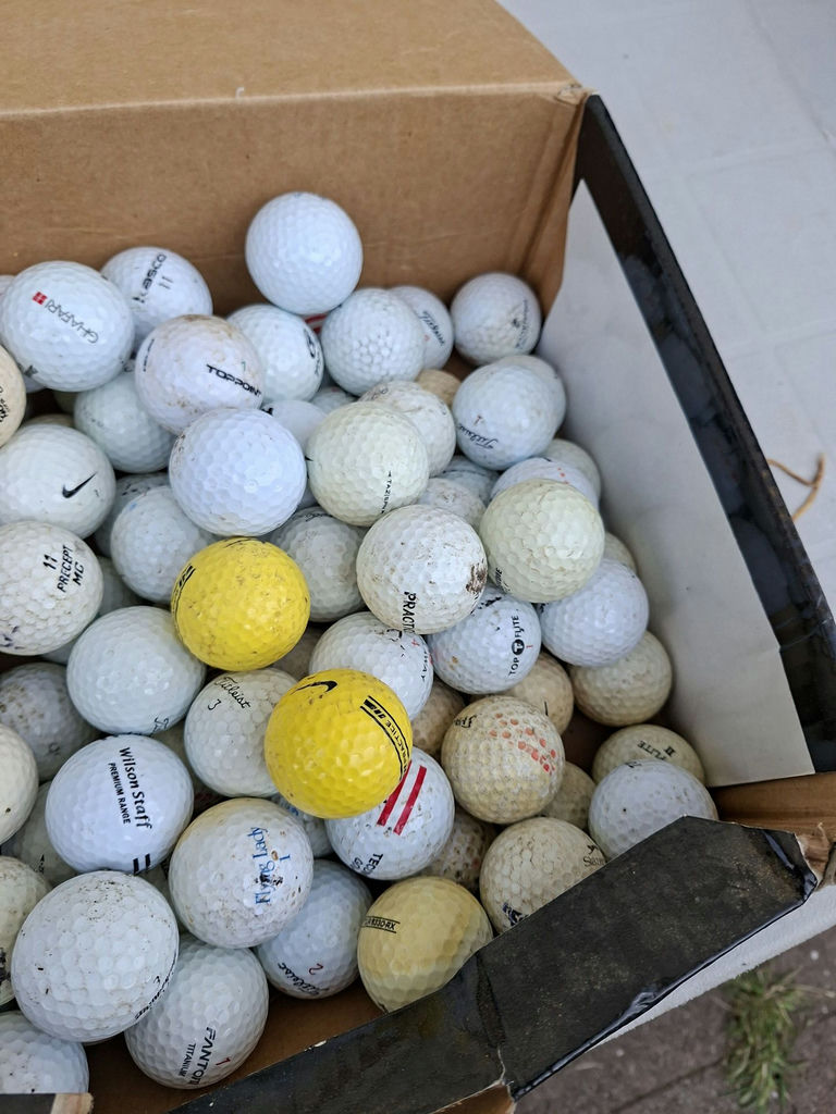 Assorted Used Golf Balls - image 3 of 3