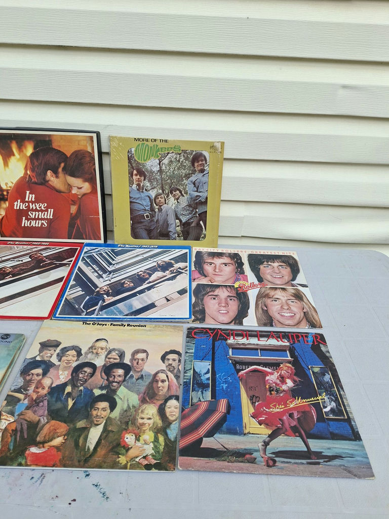 Collection of Vinyl Records and Music Albums - image 4 of 5
