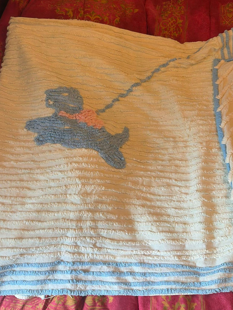 Cream Chenille Throw with Blue Embroidery - image 1 of 7