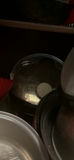 Assorted kitchen cookware and accessories - thumbnail 4 of 9