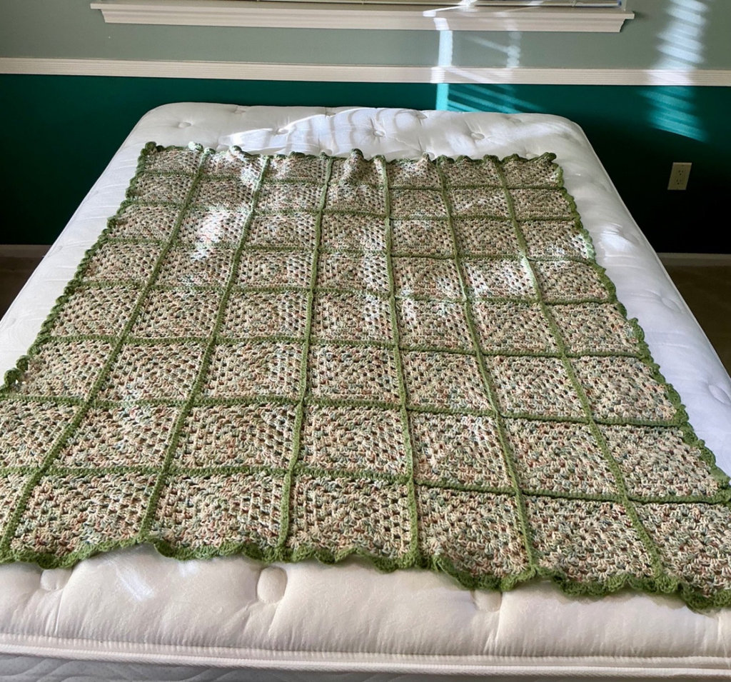 Assorted throws, and pillows - image 3 of 11