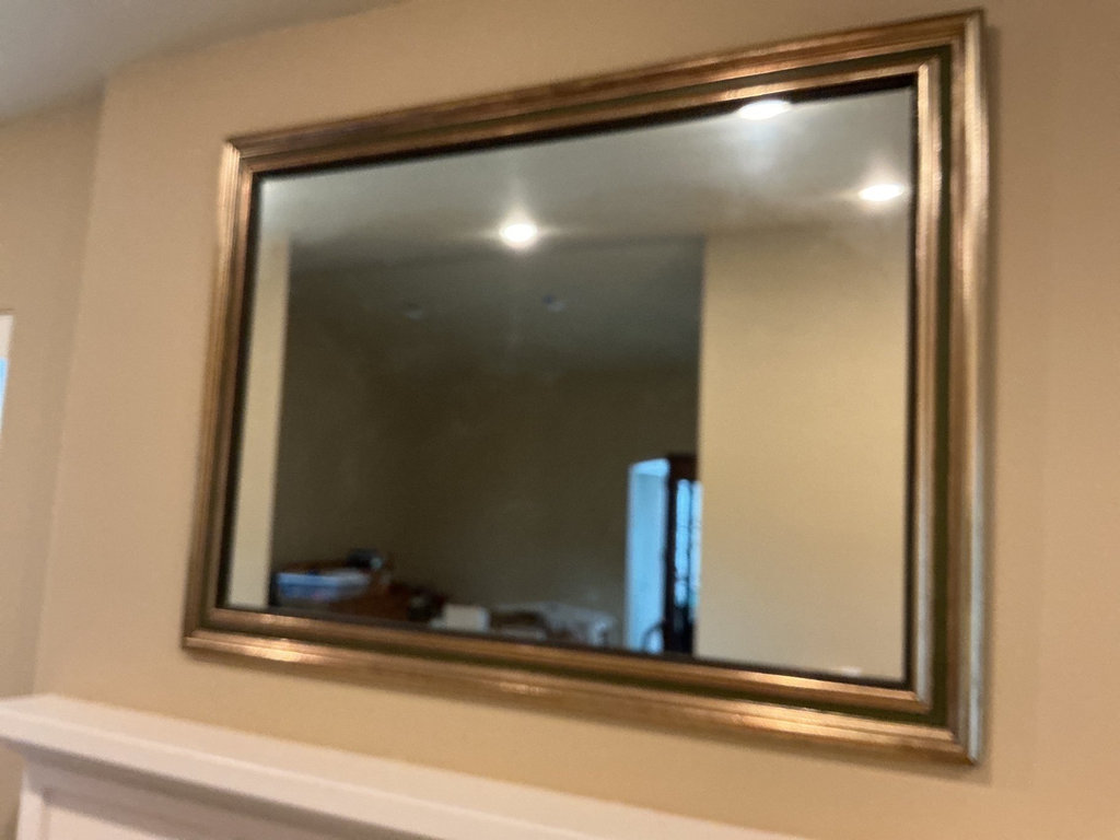 Gold & Olive wood framed wall mirror - image 1 of 3
