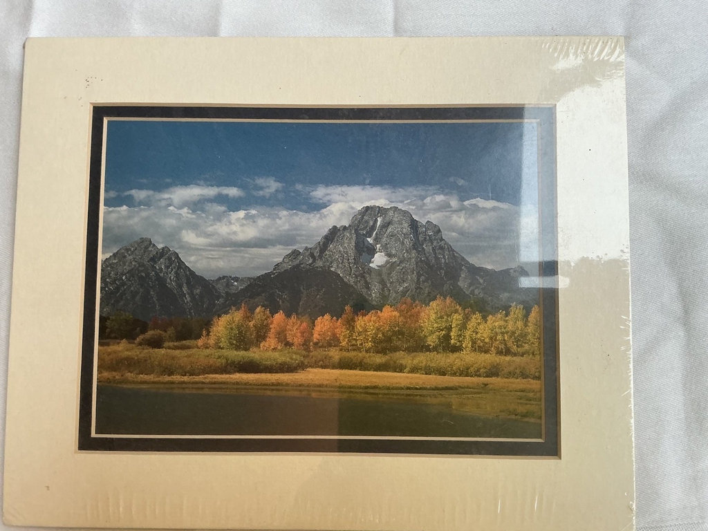 Matted Photos - image 8 of 9
