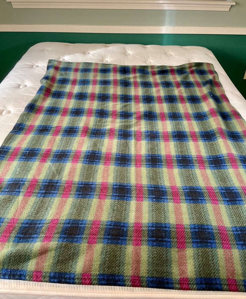 Assorted throws, and pillows - image 8 of 11