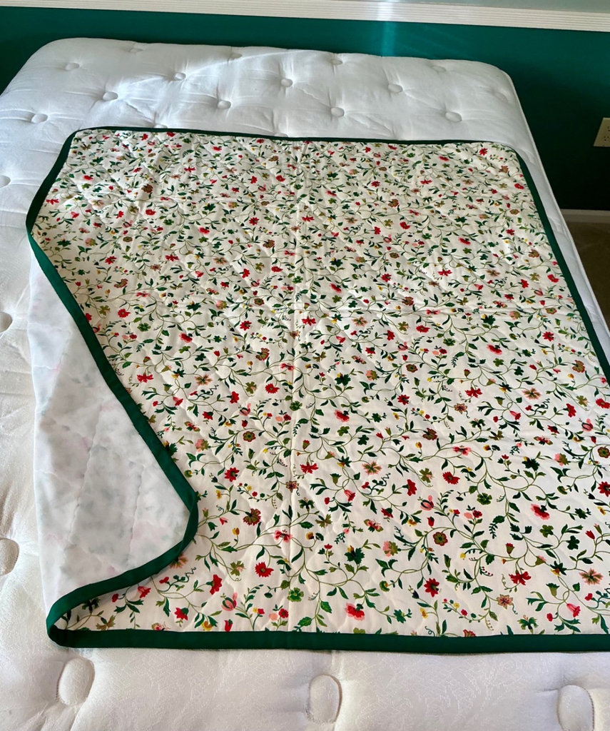 Assorted throws, and pillows - image 7 of 11