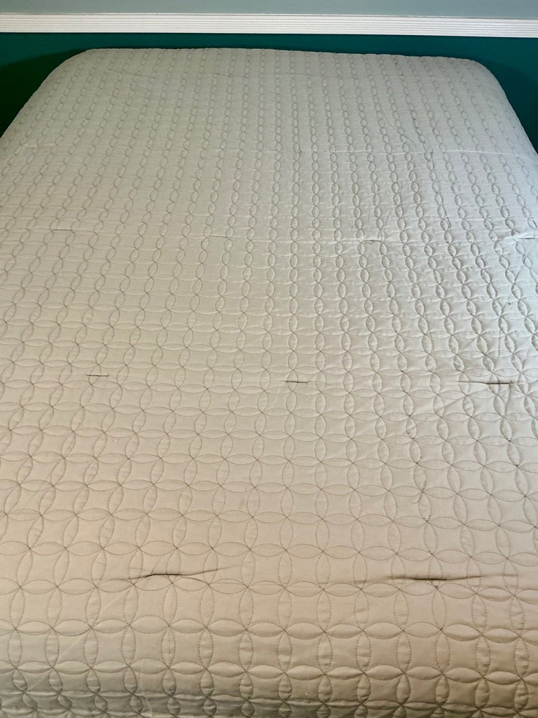 Queen Comforter with Throw pillows  - image 3 of 4