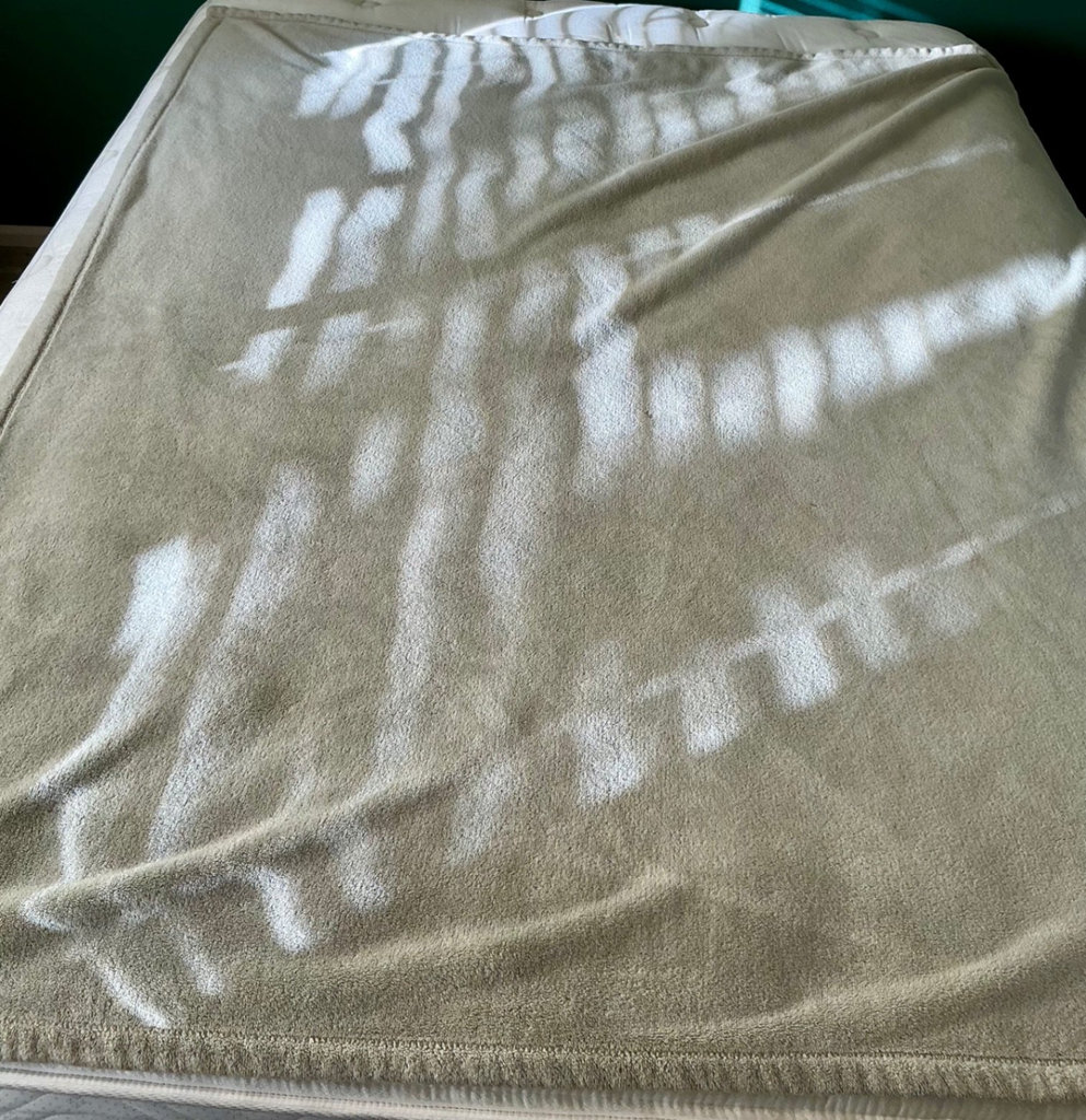 Assorted throws, and pillows - image 5 of 11