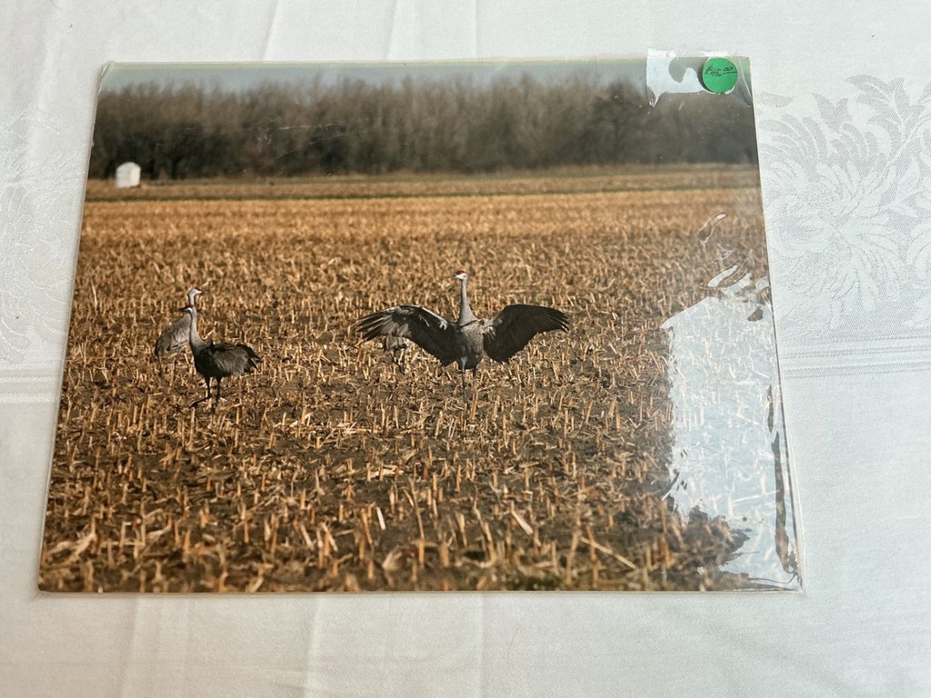 Matted Photos - image 6 of 9