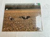 Matted Photos - thumbnail 6 of 9