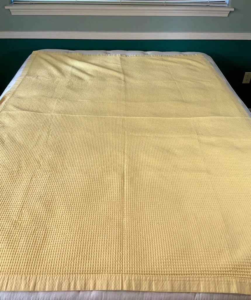 Assorted throws, and pillows - image 10 of 11