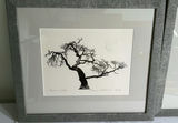 Two Framed Ink Prints, Signed And Numbered - thumbnail 1 of 4
